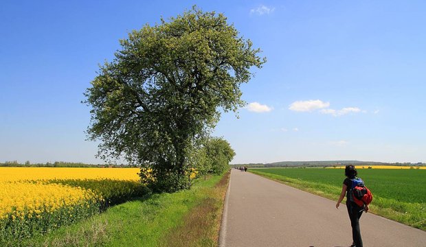 Wunderschöne Ladschaft bewundern bei der 7-Seen-Wanderung Wunderschöne Ladschaft bewundern bei der 7-Seen-Wanderung