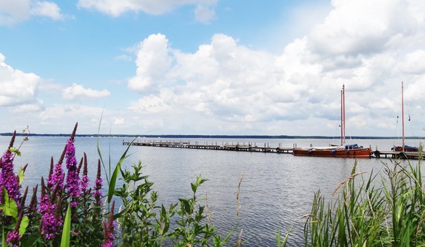 Das Steinhuder Meer ist der „Lebendige See“ 2017 Lebendiger See Steinhuder Meer Slider