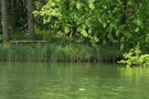 Gemütlicher Platz am Tonsee