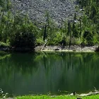 Türnsee