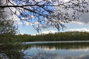 Fotos vom Obersee