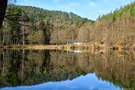 Blick auf den Seehof Erlenbach