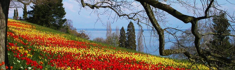 Mainau, Reichenau, Lindau: Die Inseln im Bodensee Headmotiv