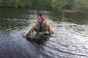 Fotos vom Kupfer-Teich