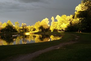 Fotos vom Waldsee