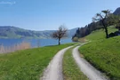 Weg am Ägerisee