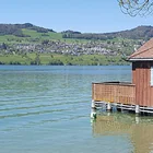 Hallwilersee