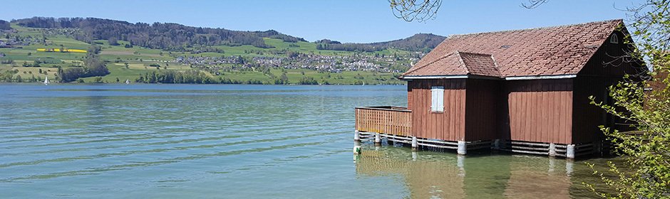 Hallwilersee Headmotiv