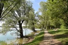 Wanderweg am  Kronthaler Weiher