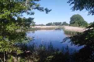 Fotos vom Kulkwitzer Lachen