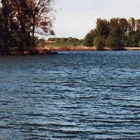 Erlensee