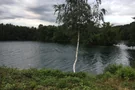 Blick auf den Effelder Waldsee