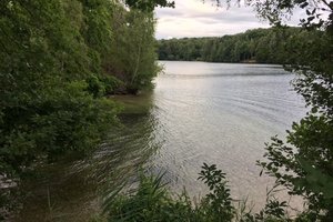 Fotos vom Effelder Waldsee