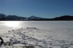 Fotos vom Grüntensee