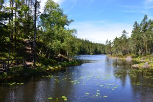 Fotos vom Stora Tresticklan