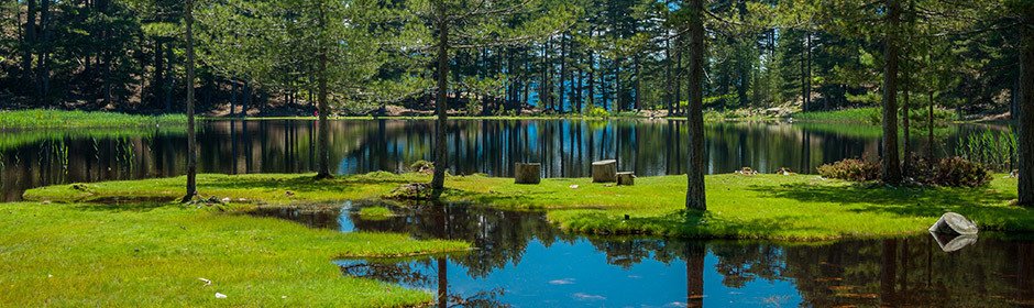 Lac de Crena Headmotiv