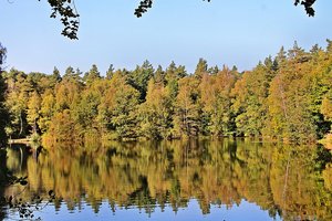 Fotos von der Villenhofer Maar