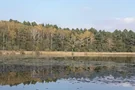 Blick auf den Gülden-See