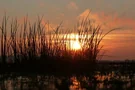 Sonnenuntergang am Dümmer