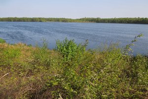 Fotos vom Theikenmeer