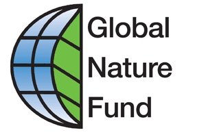 Logo GNF Logo GNF