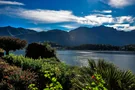 Sommerlich blühende Pflanzen am Comer See