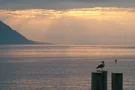 Abenddämmerung am Genfer See