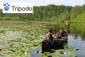Kanutour auf der Seenplatte: Entspannt die Natur genießen