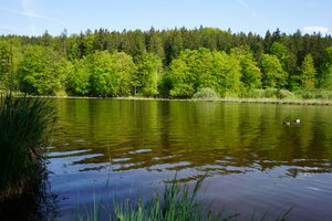 Fotos vom Deininger Weiher