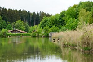 Fotos vom Harmatinger Weiher