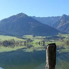 Walchsee