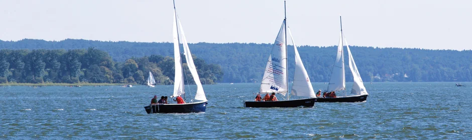 Segeln am Scharmützelsee Headmotiv