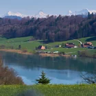 Wohlensee