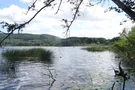 Blick auf den Laacher See 