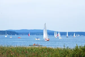 Segeln am Scharmützelsee