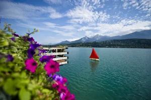 Blumen vor dem Faaker See