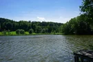 Blick auf den Dietramszeller Waldweiher 