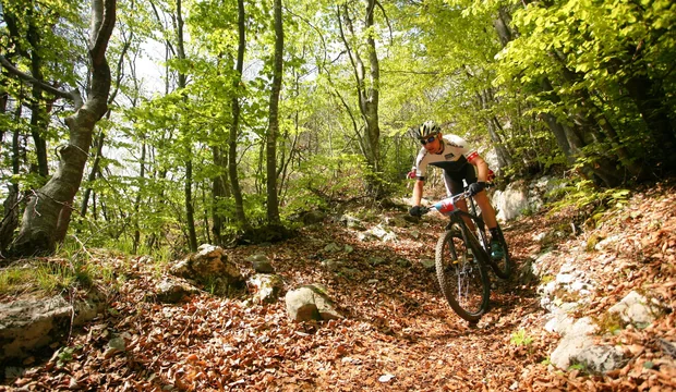 Downhill am Gardasee