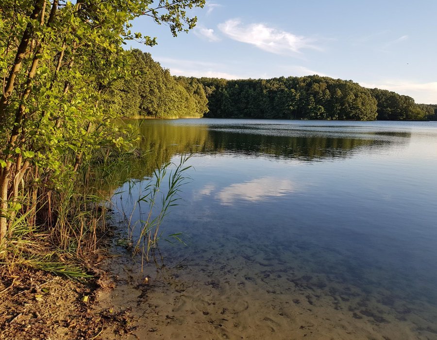 Fotos vom Krummer See Seen.de