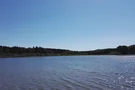 Der Haiden Weiher glänzt im Sonnenlicht 