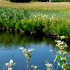 Kirnbergsee