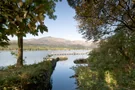 Wald am Coniston Water