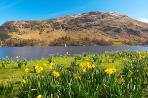 Fotos vom Ullswater