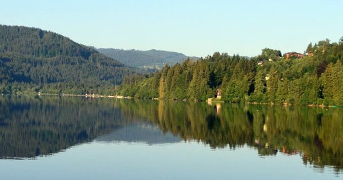 Camping am Titisee - Camping Bankenhof