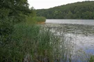 Das grüne Ufer am Ukleisee