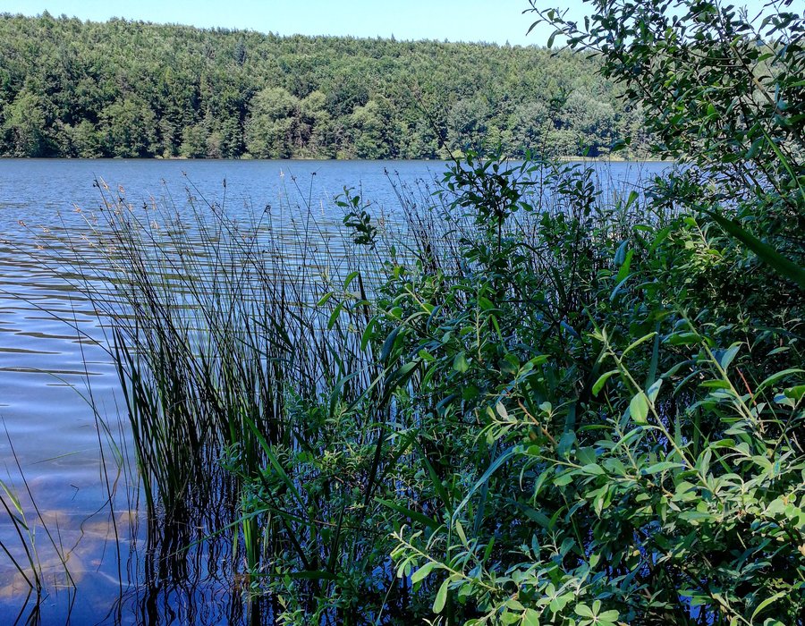 Fotos vom Kellersee Seen.de