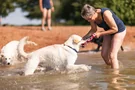Herrchen und Frauchen können den Tag am See mit Ihrem Hund genießen