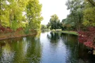 Der Rheinauensee im Herbst