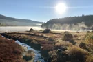 Nebelschwaden auf dem Schluchsee