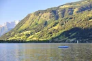 Grüne Berghänge am Zeller See